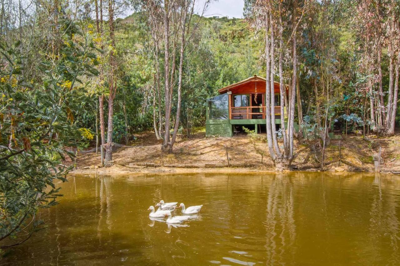 Cabana Tipo Glamping Savieza Life Experience Nemocon Dış mekan fotoğraf